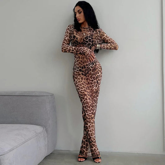 Leopard Print Mesh Long Sleeve Sexy Dress